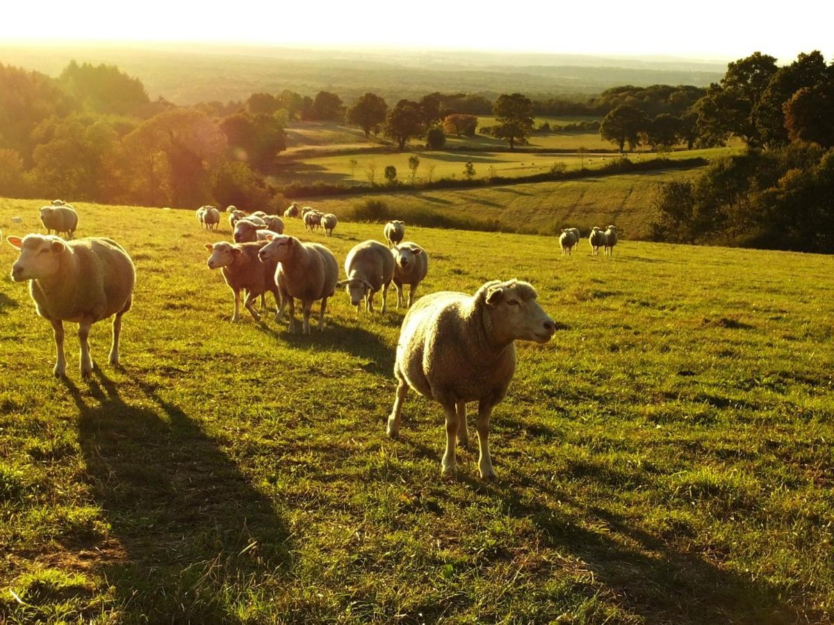 Yourte Bourgogne Corvol-dʼEmbernard Exteriér fotografie